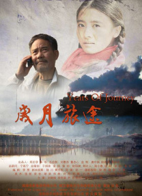 套路直播回放如何免费观看